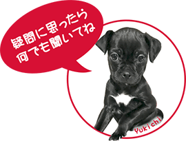 疑問に思ったら何でも訊いてね