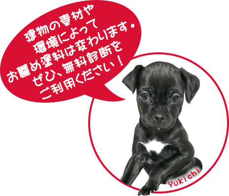 建物の素材や環境によってお薦め塗料は変わります。ぜひ、無料診断をご利用ください！