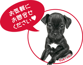 お気軽にお問合せください